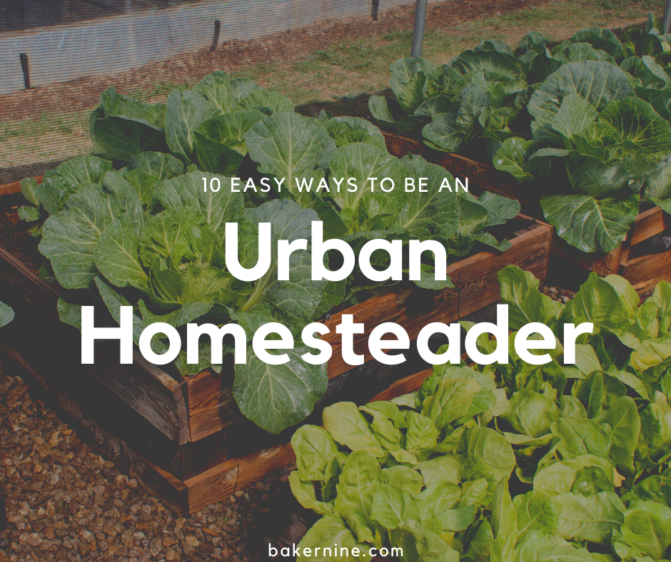 10 Easy Ways to be an Urban Homesteader - Baker9