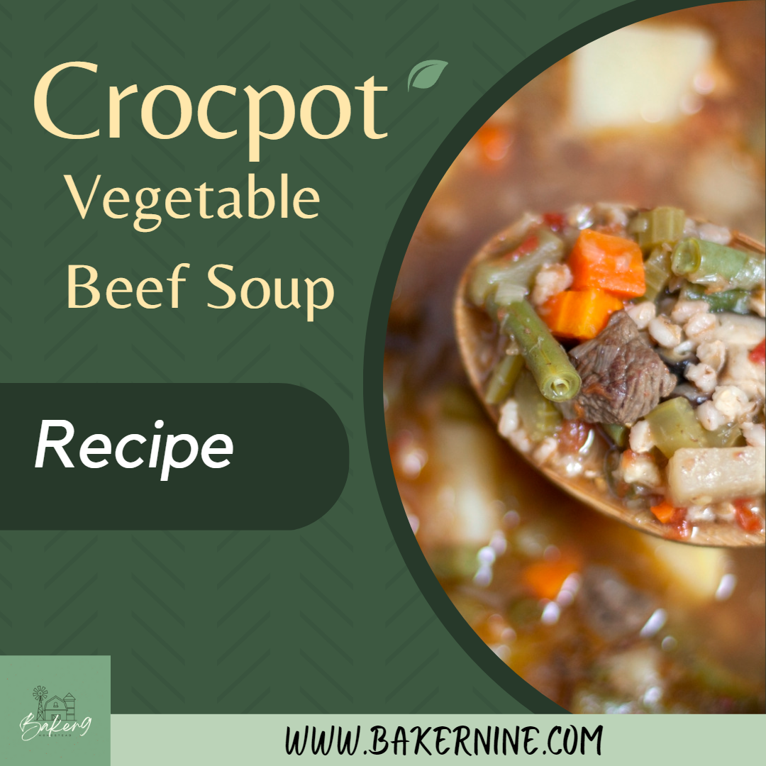 Easy Hearty Vegetable Beef Soup in the Crockpot Baker9